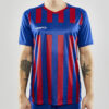 Craft Progress 2.0 Stripe Jersey Miehet - Image 12